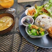 vegan plate at Retro Restaurant WAKA in Narita