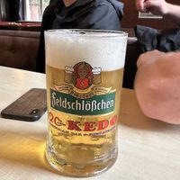   at Kedo  in Dresden