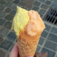  at Glassico in Fontainebleau