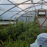  at La Colina Linda B and B Farm in Cobden