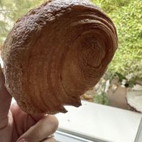   at La Mauvaise Herbe in Paris