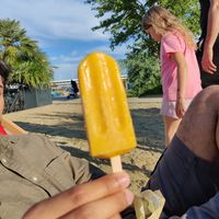 Mango/orange ice cream at Krokodü am CopaBeach in Vienna