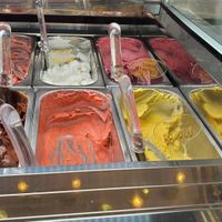 Six regular vegan flavors at Tre Cuori Gelateria & Açaí in Ellisville