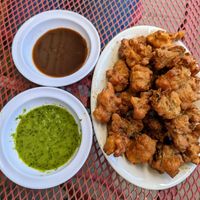 Veggie appetizer. at Everest Cuisine in Rapid City