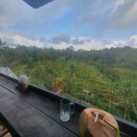  at Klumpu Padi Terrace in Ubud