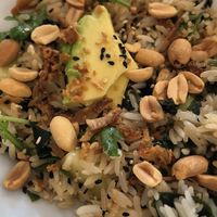   at La Mandragora in Valencia