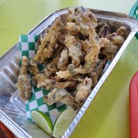  at Taqueria Vegana  in Toronto