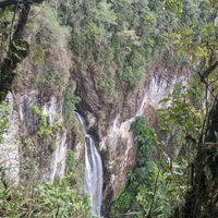 Walk at Reserva Los Nogales in Macizo De Penas Blancas