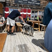 The Huette  at Büllelejochhütte in Auronzo Di Cadore