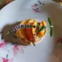  at La Cena di Pitagora in Ponte Nizza