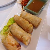 Vegetable spring rolls at Thai One in Colchester