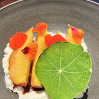 Peach straciatella   at Holy Carrot in West London