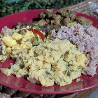 Huge plate with veg chunks, rice and beans, coconut polenta and ackee at Reflections Natural Rastarant in Ocho Rios