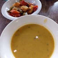  at Kastrati in Tirana