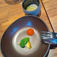 Zucchini Avocado Paprika at Restaurant VOLT in Berlin