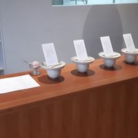 Counter at MY NAME IS ICE CREAM in Niigata