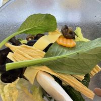   at Zhang Liang Malatang in Haymarket