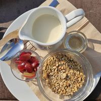 Granola with plant milk at Bulle Bistro im Glas Lennarz in Dusseldorf