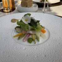   at Bolenius Restaurant in Amsterdam