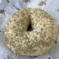 Rosemary salt bagel  at Jeff's Bagel Run in Kissimmee