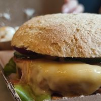  at Liners Food in Hannover