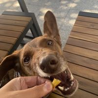 Pommes 👌🏼  at Liners Food in Hannover