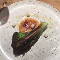 Starter at Oak in Bath