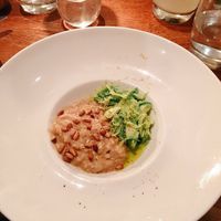 Pine nut risotto - taster plates  at Oak in Bath
