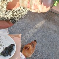  at Taverna Stomio in Crete