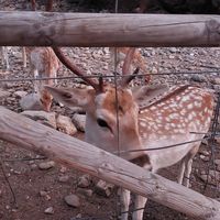  at Taverna Stomio in Crete