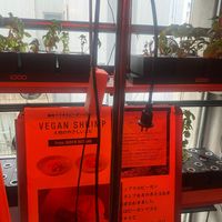 hydroponically grown ingredients at NEOShinjuku Atsushi in Tokyo