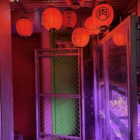   at NEOShinjuku Atsushi in Tokyo