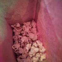 free popcorn   at NEOShinjuku Atsushi in Tokyo