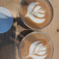  at Haferkater in Freiburg