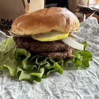 Preposterous Burger  at Odd Burger in Ottawa