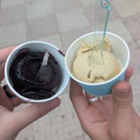 Mulberry and pistachio at M'kanda in Shkoder