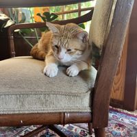 Morris!   at The Stanford Inn by the Sea in Mendocino