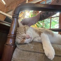 Morris   at The Stanford Inn by the Sea in Mendocino