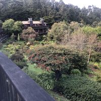   at The Stanford Inn by the Sea in Mendocino