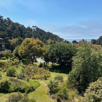 The view from our room at The Stanford Inn by the Sea in Mendocino