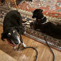   at The Stanford Inn by the Sea in Mendocino