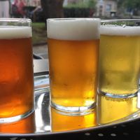 Beer tasting serving at KATI Hausbrauerei in Eberswalde