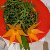  at Magnolia Veggie Restaurant in Phnom Penh