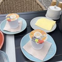 Vegan yogurt and cheese   at 1905 Zino's Palace in Ponta Do Sol