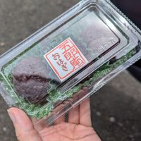 ohagi (takeout) at Goroan - 五郎庵 in Tanabe