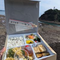 Vegan bento box at Akihei - 割烹 秋平 in Tanabe
