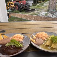 Vegan enchiladas (no cheese or sour cream with soy protein) - one with mole sauce, one with green sauce   at Su Casa Mexican Cafe in Bridesville