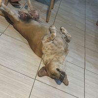   at Warung Putu in Lembongan