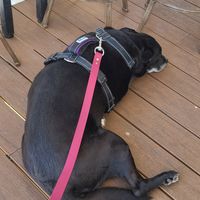 Kiz loved it at Ocean 193 in Provincetown