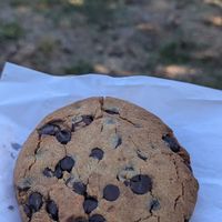 Vegan chocolate chip and hazelnut cookie at Wild Flour Bread in Freestone